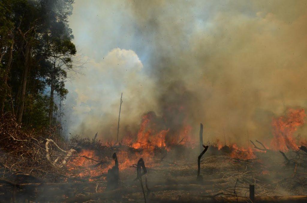 Cuando el cielo arde
